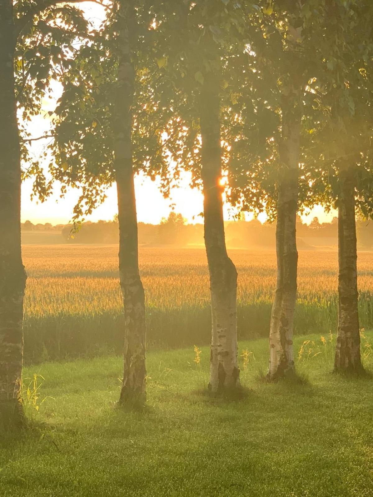 Romantic Luxus Glamping 1 Idestrup Екстер'єр фото